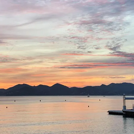 아파트 Festival De Palmiers, Plages-congres, Cocon De Calme Au Coeur De 칸느