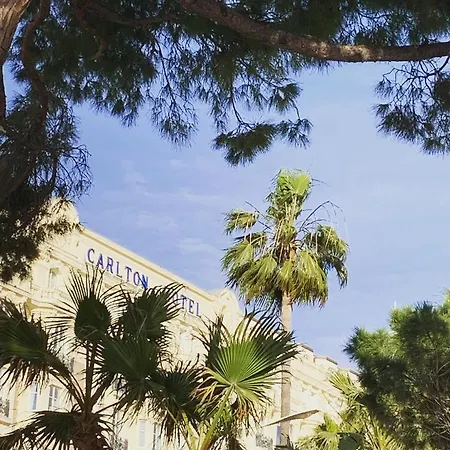 Festival De Palmiers, Plages-congres, Cocon De Calme Au Coeur De 아파트 *